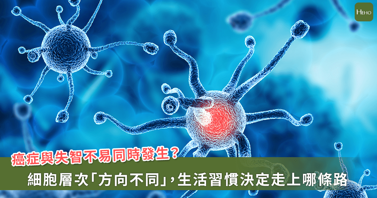得癌症就不會失智？張家銘醫師：兩種細胞訊號「一個向左、一個向右」不易同時發生