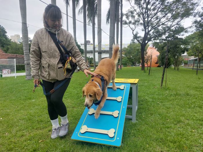 寵物遊具搶先亮相 新北毛寶貝狂想曲樂...