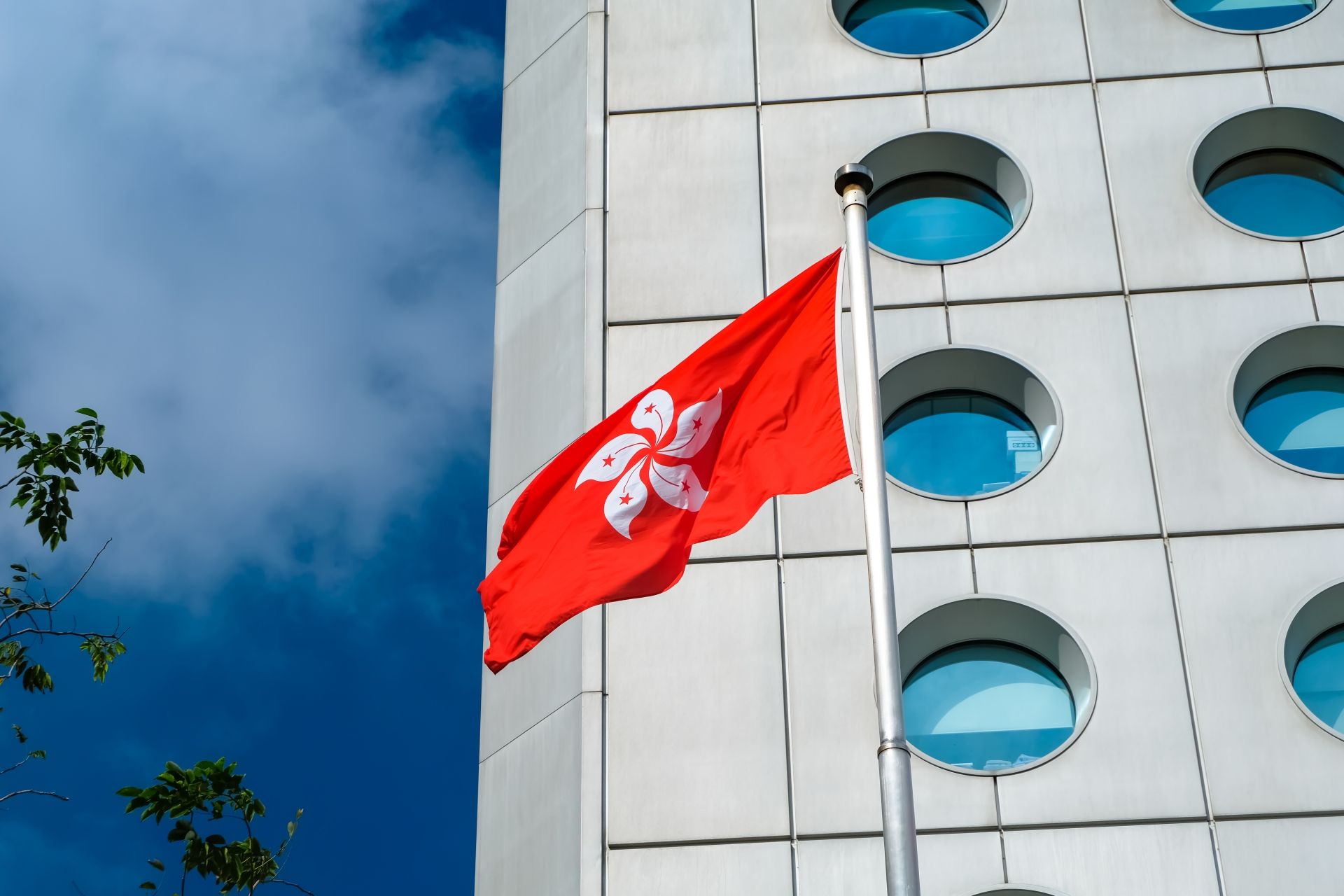 跟進中國對日反制措施？　香港政府暫停...