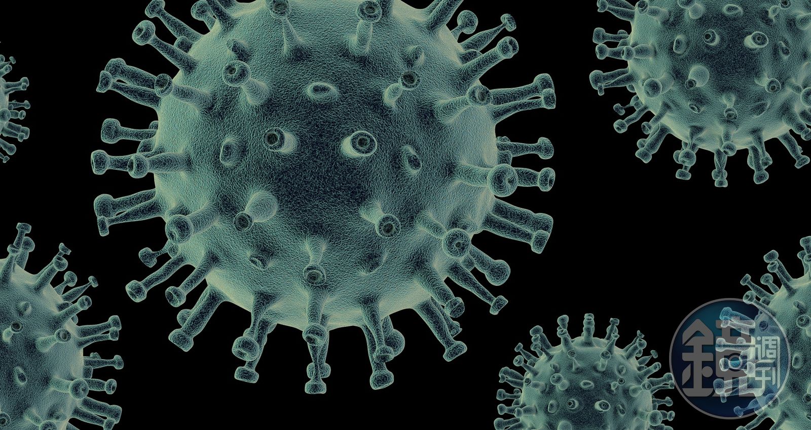 致死率飆75%！立百病毒強襲南亞　陳志金教6招預防