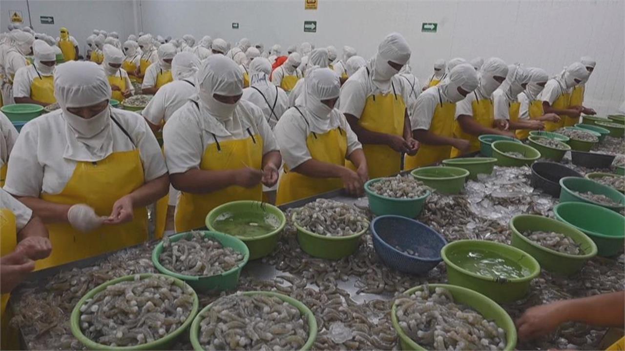 宏都拉斯「斷交台灣、擁抱中國」白蝦全...