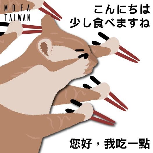 你好，我吃一點！外交部貓咪迷因圖挺日...