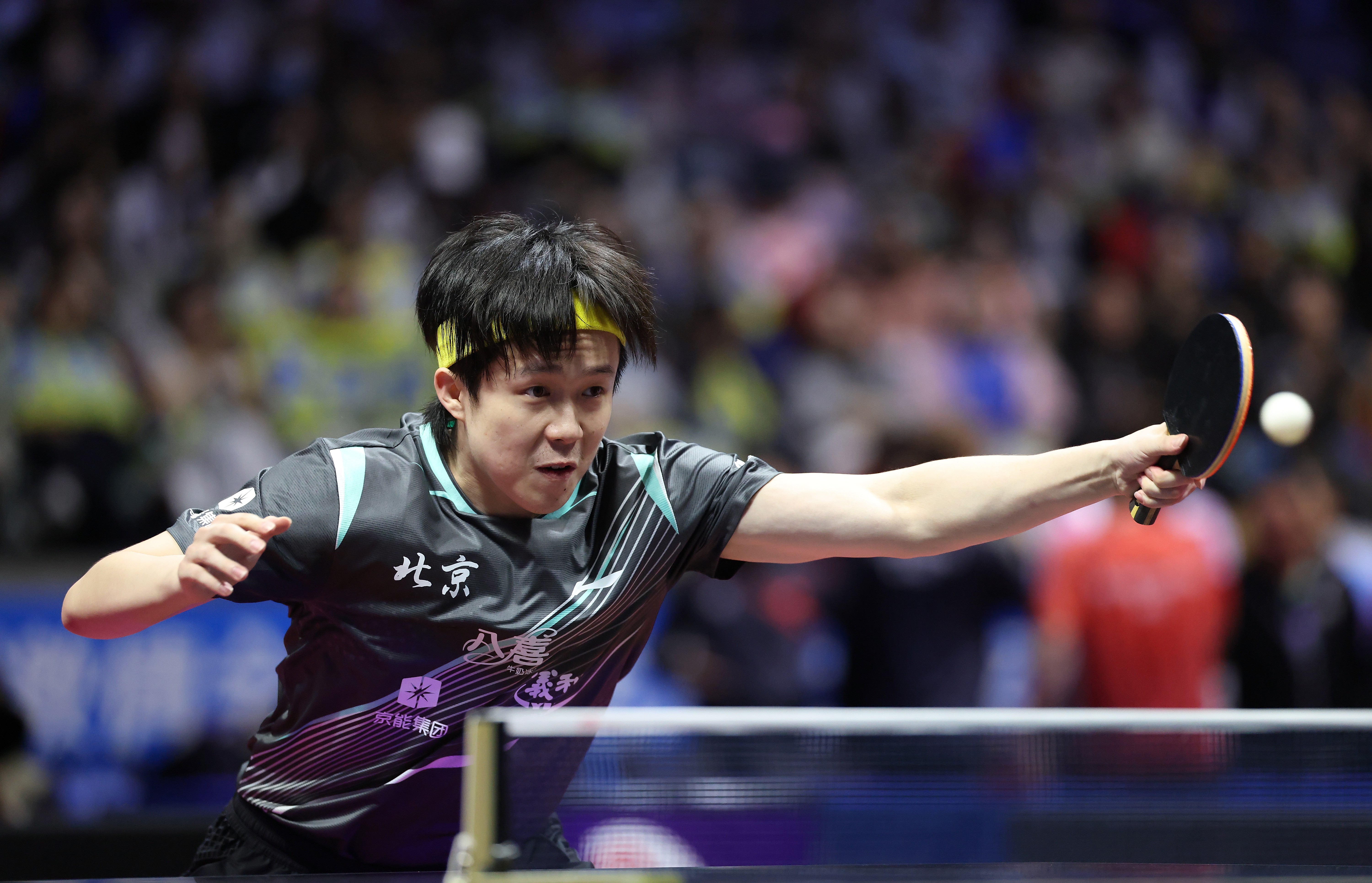 桌球》球王之戰！王楚欽輸球爆氣「頭槌球桌」全場驚呆