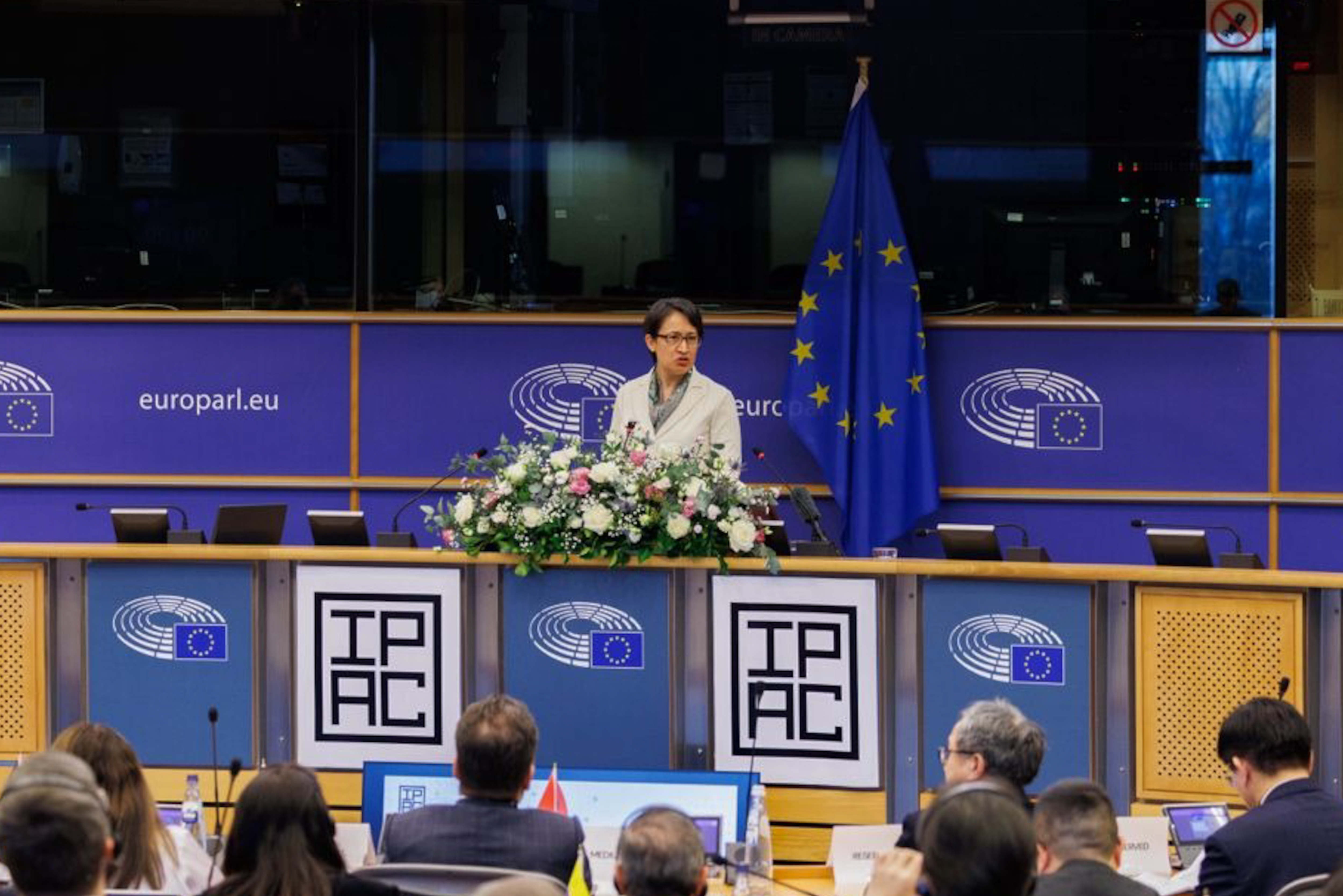 戰貓與佛里曼的刺蝟