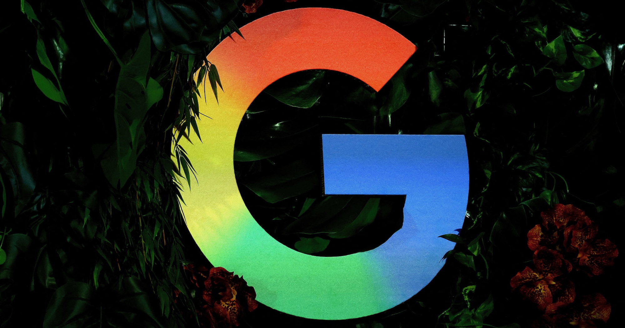 Google Discover 測試...