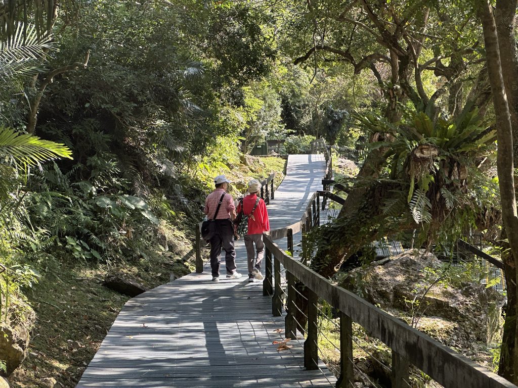 肌少症 僅靠日走萬步救不了