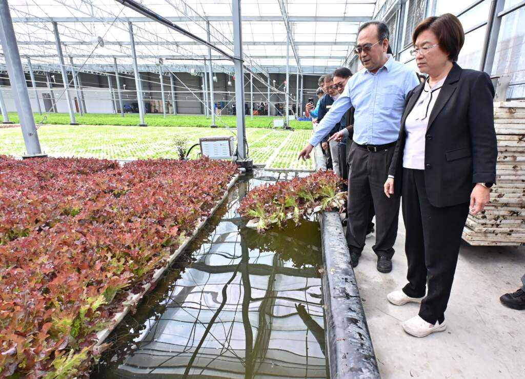 全國最大智慧水耕農場「摩蔬大溪」落腳...