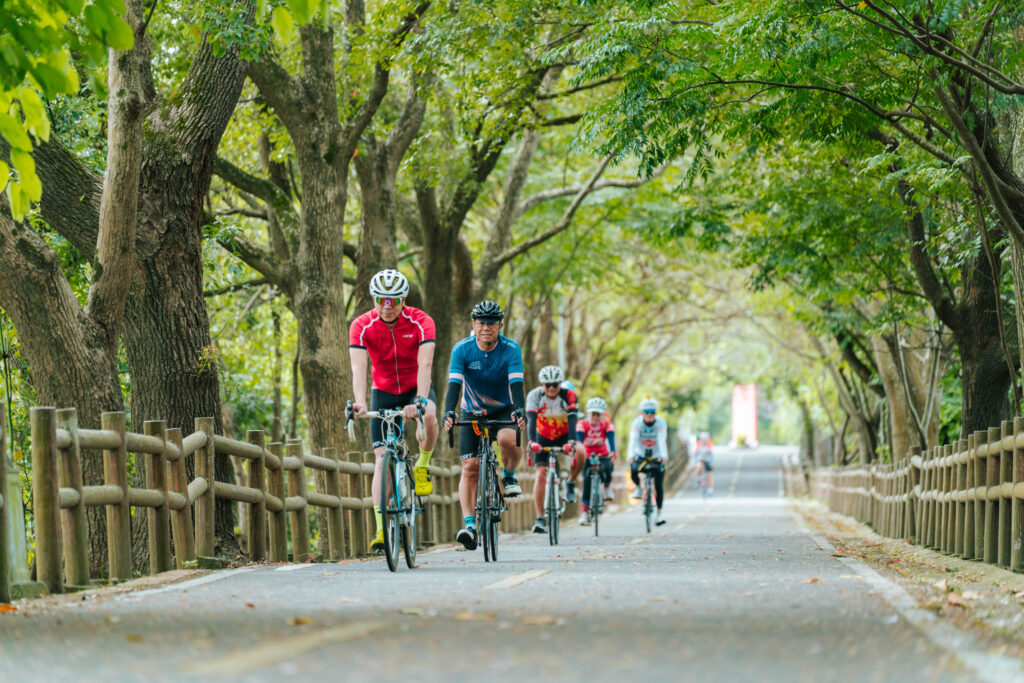 減少租賃爭議 中市推自行車出租「定型化契約」