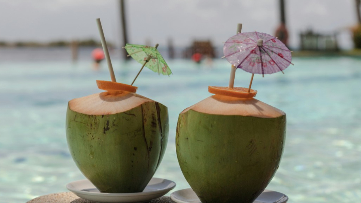 致死率58%！立百病毒將列法定傳染病　籲出國別喝1飲品