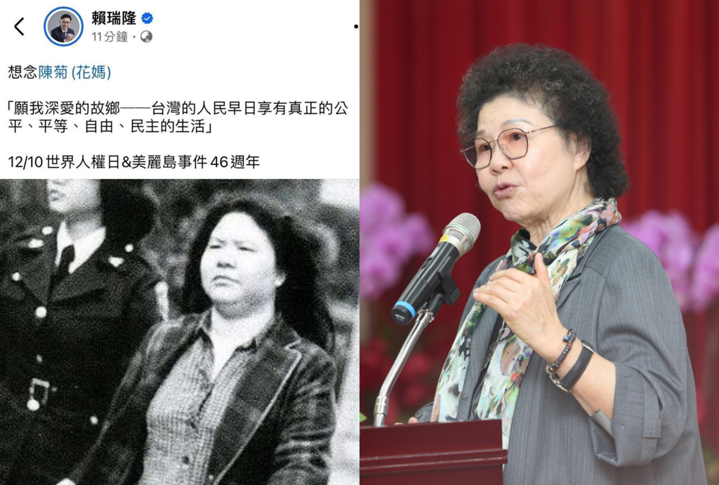 賴准陳菊辭「也是政治算計」？柳采葳：消費利用到最後